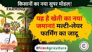 Don&rsquo;t Miss This! Multi-Layer Farming Explained in the Easiest Way