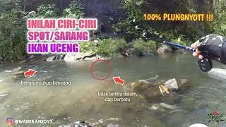 Pahami Spot Mancing Nya Dulu, Lalu Tinggal Panen Ikan Uceng