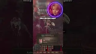 Larian Studios has a funny sense of humor with Baldurs Gate 3 Names