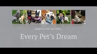 Together we can make a difference!  Every Pet's Dream