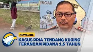 Pensiunan PNS Tendang Kucing Hingga Mati di Blora [Newsline Berkas]