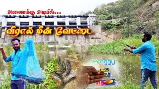 Wild Snakehead Fishing Adventure | Non-Stop Action 🦈 விரால் மீன் வேட்டை சாகச பயணம் #nature #tamil
