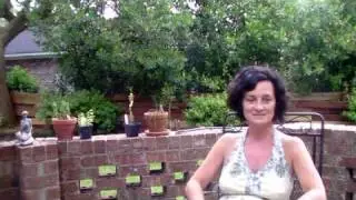 Jamee Haley (Lowcountry Local First)