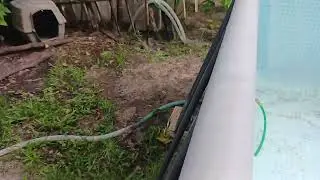 hillbilly pool vacuum