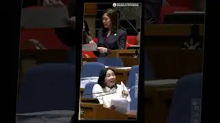 Rep. Sara Elago (Gabriela Partylist) vs Rep. Mika Suansing - Lump Sum Funds
