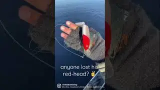 In todays &ldquo;Lost & Found&rdquo; section🤓 #fishing #lure