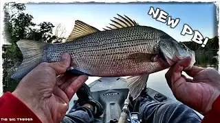 3 Species, 1 Big Fish, or 8+ Fish Total... How Many Can I Complete?