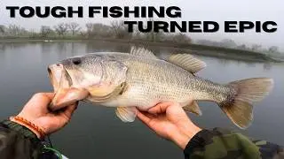 The Best Lure to Trigger Cold Water Bass?