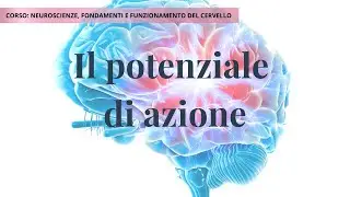 Potenziale d&rsquo;azione e segnali neuronali | Neuroscienze &ndash; Lezione 2C