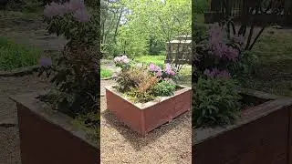 The flowers are still popping