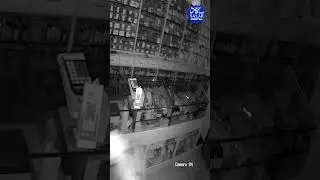 Thieves in Monkey Caps Target Bengaluru's Medical Stores, Raising Security Concerns #shortsfeed