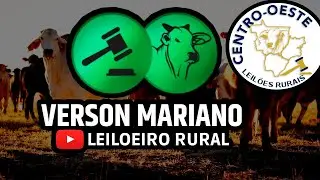 CENTRO-OESTE LEIL&Otilde;ES RURAIS- JARAGU&Aacute; - GO - ARREMATE