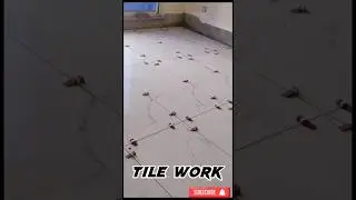 How to install Floor Tile |Installation| #TileTips #TileInstallation #shorts