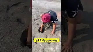 ਰੇਤੇ ਨੇ ਖੇਤ ਖਤਮ ਕਰਤੇ 😢 #floodinpunjab #flood #cm #bhagwantmann #punjabinews #kisan #shorts