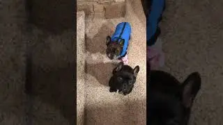 Cold-weather solutions