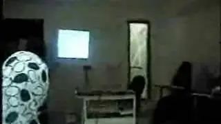 FGF 2