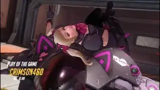 Diva POTG