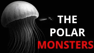 Why the Frozen Depths of Antarctica Turn Tiny Life Into Titans