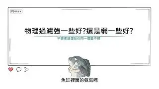 [水族大大不要聽]Ep83物理過濾要強一些好?還是弱一些好? 物理過濾不好硝化細菌真的會長不好嗎?