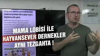 Mama lobisi ile hayvansever dernekler aynı tezg&acirc;hta! / Kerem &Ouml;nder