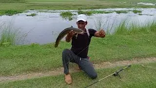 murrl fishing 🎣