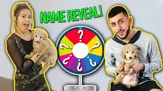WHAT DID WE NAME HIM? *SPIN THE WHEEL GAME*