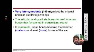 AP Biology #77 - Geologic Record