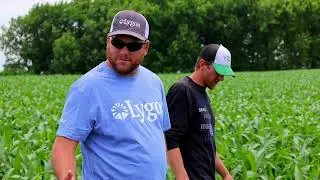 Three Reasons Ryan Wynia Uses Soltellus