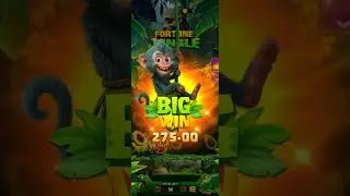 Yono rummy best win....