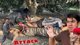 Sw Pet House Jungle Janwar Ny Attack Kr Dea 😰 Mamu Azzi @azzibhaifamily 