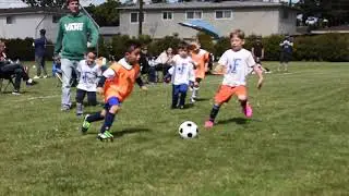 Fullerton Rangers U6 Spring Soccer 3-8-20