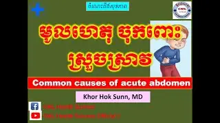 មូលហេតុ ចុកពោះស្រួចស្រាវ Common causes of acute abdomen l CML Health Science Official