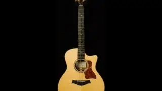 Taylor Wildwood CV 716 CE &bull; SN: 1111110641