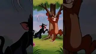 Cat & Dog Chaos! 😹 | Tom Jerry Style | Hilarious Silent Cartoon#cartoon #catvsdog