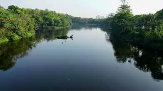 Frequ&ecirc;ncia 21hz para te ajudar a colocar a sua vida no rumo certo.
