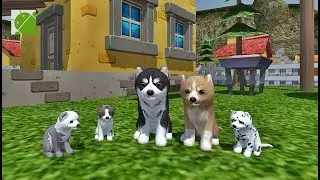 Dog Simulator Animal Life - Android Gameplay FHD