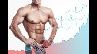 Stress Hormone Blocks Testosterone&rsquo;s Effects