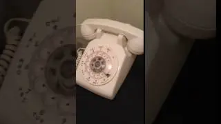 Rotary Telephone White