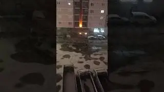 mutlu noeller