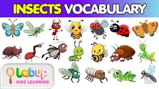 Learn 20 INSECT Vocabulary | Insect Names in English | English Vocabulary For Kids