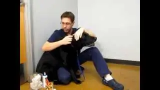 How to clean your dog's ears