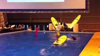 Eric Terrien at Paris Sprint Race Finals (Time Trials)