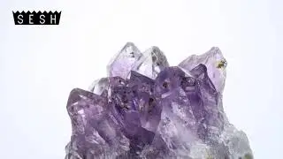 BONES - Amethyst | SLOWED TO PERFECTION | Amethyst