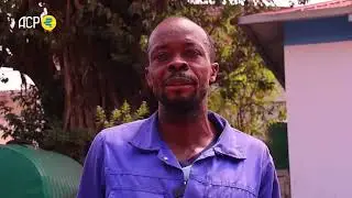 A colony of bats is worrying the population in Lubumbashi