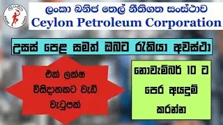 Ceylon petroleum corporation job vacancies 2025