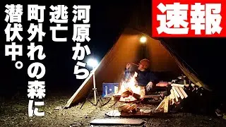 【ソロキャンプ】強風に耐えられず河原から逃亡、たどり着いた森でソロキャンプ☆