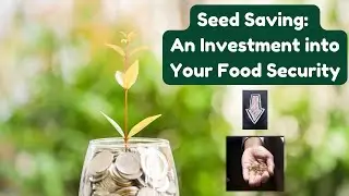Seed Saving: An Investment Into Your Food Security