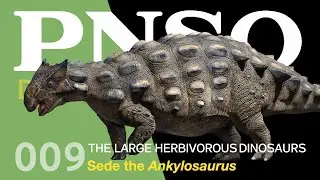 009 Sede the Ankylosaurus | The Large Herbivorous Dinosaurs | PNSO DINOSAUR MUSEUM Season IV