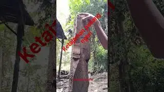ketajaman pedang 130cm
