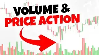 Volume & Price Action: Your Ultimate Guide